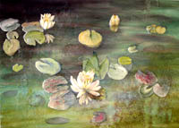 Lily Pond II